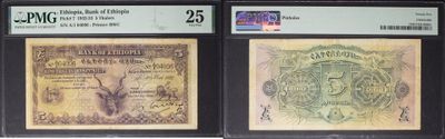 Trois types de monnaies différents sont exposés dans une vitrine