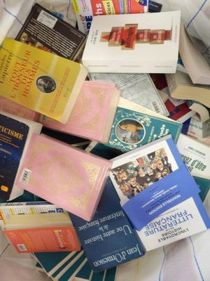 a pile of books on a bed with a blue and white blanket