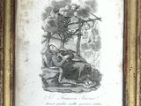 an image of a picture of a man and a woman in the woods