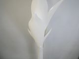 un vase blanc orné d'une fleur blanche