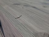 a close up of a piece of wood on a table