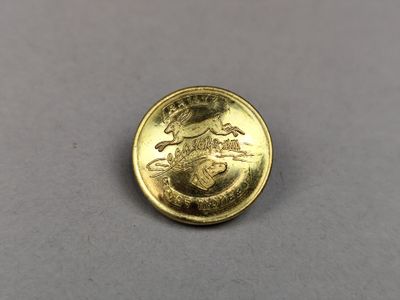 a close up of a gold coin with a picture of a man riding a horse