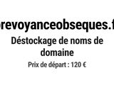 Photo 1/1 du lot
