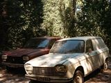 two old cars parked next to each other in the woods