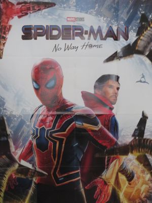 Spider-Man : No Way Home - DVD