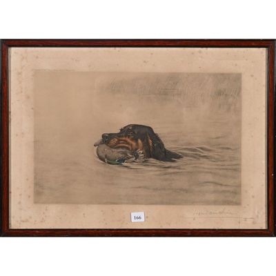 une image représentant un dessin d'un canard dans un plan d'eau