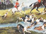 Photo 8/9 du lot
