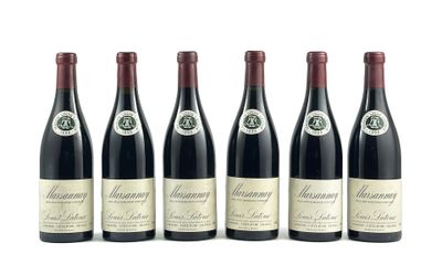 six bouteilles de vin sont alignées sur une surface blanche
