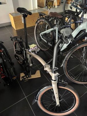 de nombreux vélos garés dans un magasin