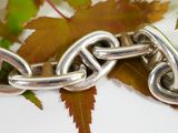 a close up of a chain with a leaf in the background