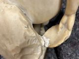 Photo 9/16 du lot