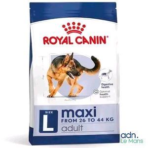royal canin maxi adult dry dog food