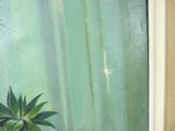 a painting of a potted plant in front of a window