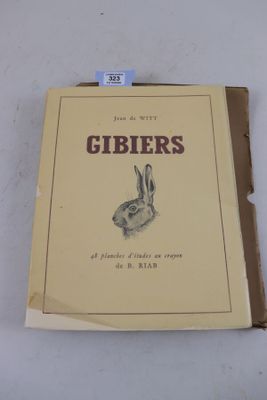 un livre sur lequel figure l'image d'un lapin