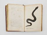 an open book with a drawing of a snake on the inside of it