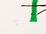 drawing of a green cross with a black outline on a white background