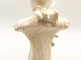 a white sculpture of a woman with a hat on her head