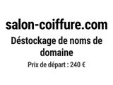 Photo 1/1 du lot