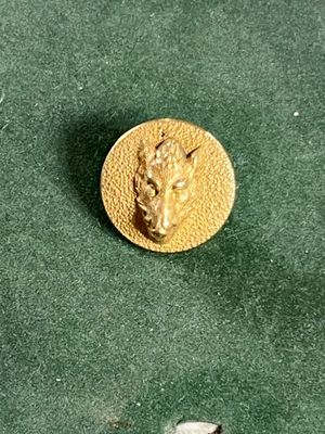une pièce d'or représentant une tête de cheval sur un fond vert