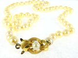 pearl necklace with a gold snake clasp and pearls on a white background