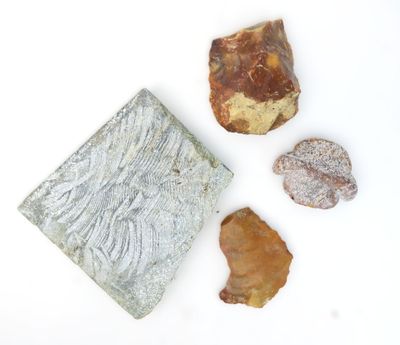 trois types de roches différents et une roche posée sur une surface blanche