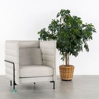 Ronan & Erwan Bouroullec (XX–XXI) « Alcove » pour Vitra. (photo 2)
