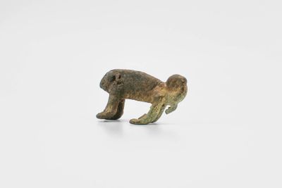 Caméléon posé sur ses quatre pattes