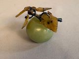 a green apple with a bug on it sitting on a table