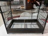 une cage à oiseaux posée sur une table dans une pièce