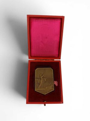 Médaille en bronze offerte par le journal d'acclimatation de…