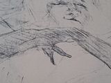 drawing of a woman ' s hand holding a bird in her left hand