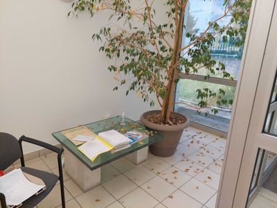 Plante verte. MATERIEL VENDU EN L'ETAT SANS GARANTIE se trou…