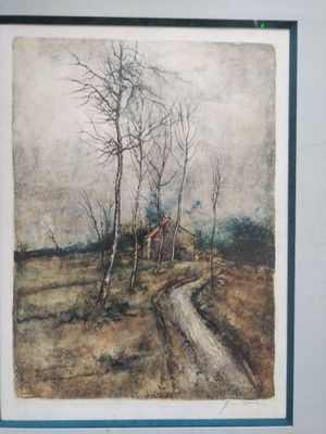 a picture of a picture of a tree with no leaves