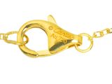 an image of a close up of a gold chain with a clasp