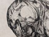 a black and white drawing of a bear on a piece of paper