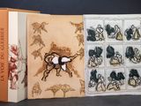 une photo d'un livre sur lequel figure l'image d'un cheval