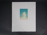 an image of a picture of a white dog on a black background