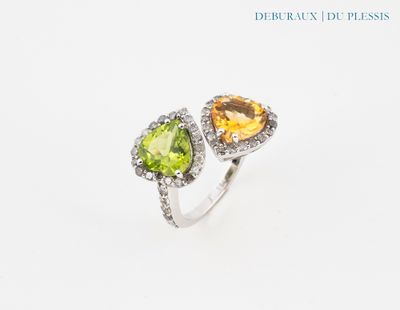 une image représentant une bague ornée de deux pierres de couleurs différentes