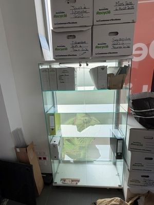 de nombreuses boîtes de nourriture posées sur une vitrine en verre