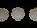 trois coquillages en verre blanc sur fond noir