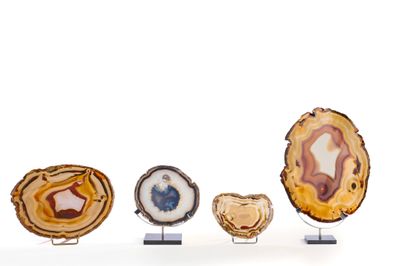 Plusieurs types d'agates sont exposés sur des présentoirs posés sur une surface blanche.
