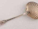 a silver spoon with a shell on it on a white surface
