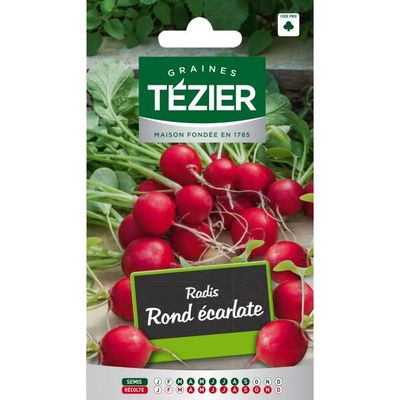 TÉZIER - Graines de Radis Rond écarlate - Semis Mars à Septe…