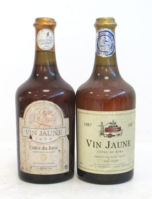 Lot de 2 blles de Côtes du Jura comprenant : - 1 Blle VIN JA… - Photo 1
