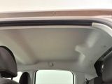 a cat sitting in the back seat of a car