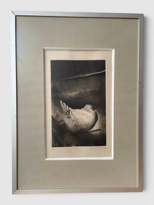 a picture of a bird that is sitting in a picture frame
