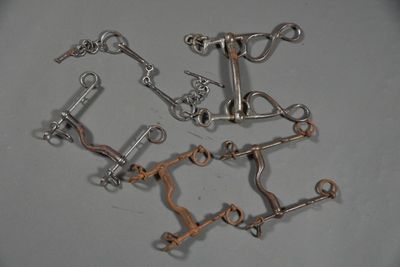 a lot of different types of horse bitts on the table