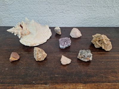 quelques pierres et coquillages posés sur une table en bois, avec un mur blanc en arrière-plan