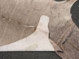 an image of a piece of cow skin on the ground