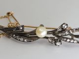 a bird brooch with a pearl in it